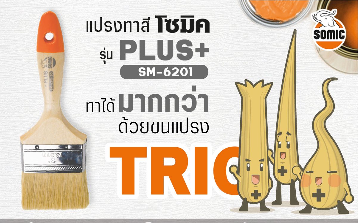 แปรงทาสี-ขน Trio