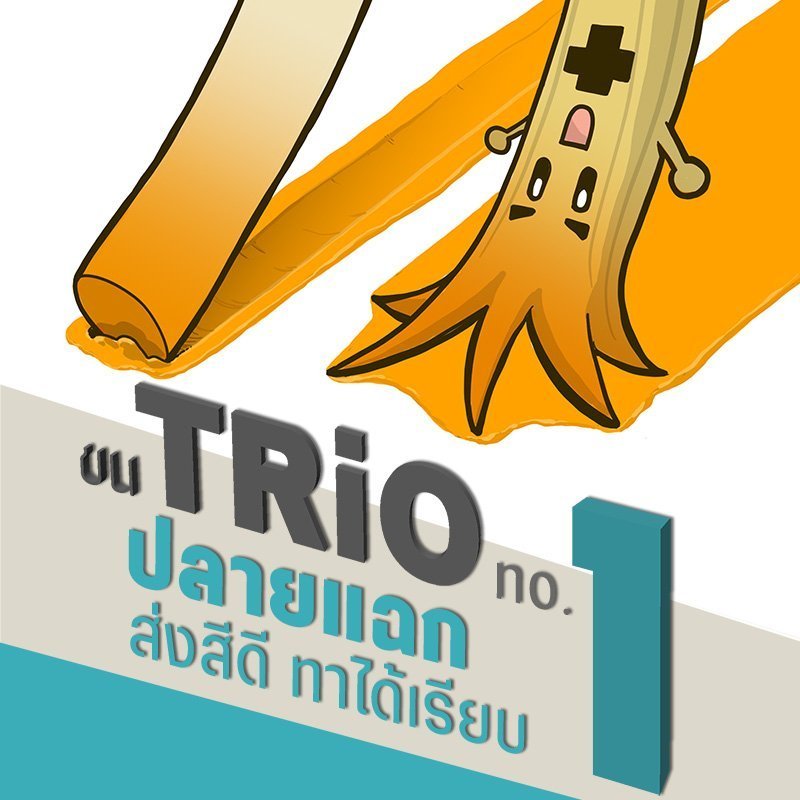 แปรงทาสี-ขน Trio1