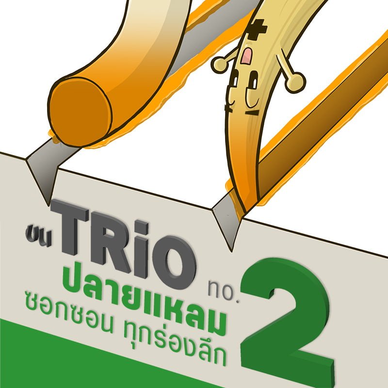 แปรงทาสี-ขน Trio2