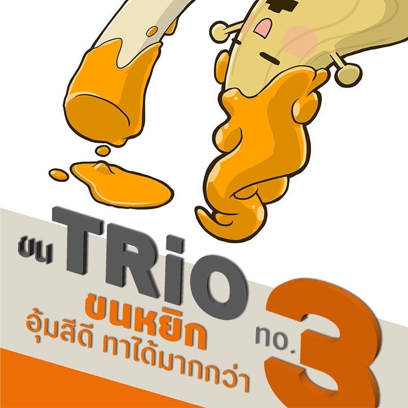 แปรงทาสี-ขน Trio3