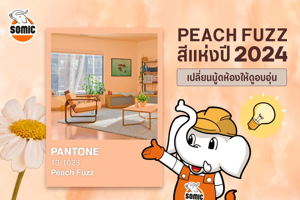PANTONE ประกาศสี Peach Fuzz เป็นสีประจำปี 2024