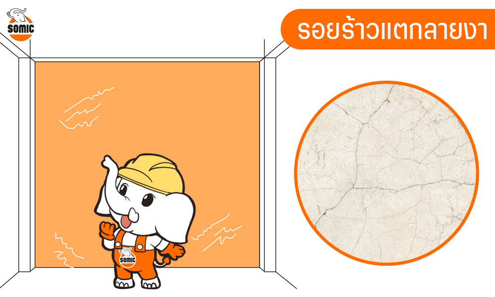 รอยร้าวบนผนัง-1